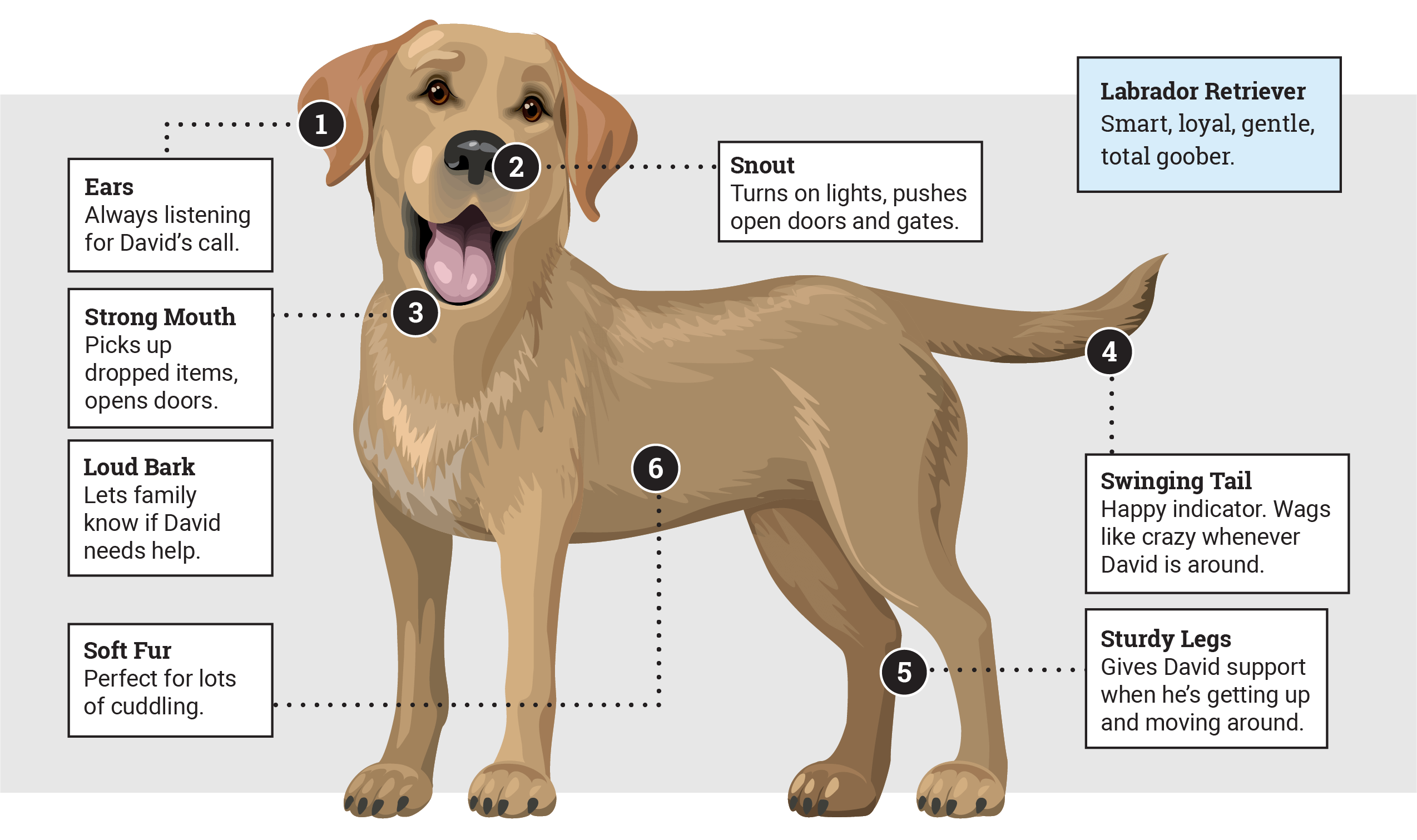 Braver Together Dog Callouts