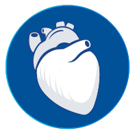 Steroids Heart