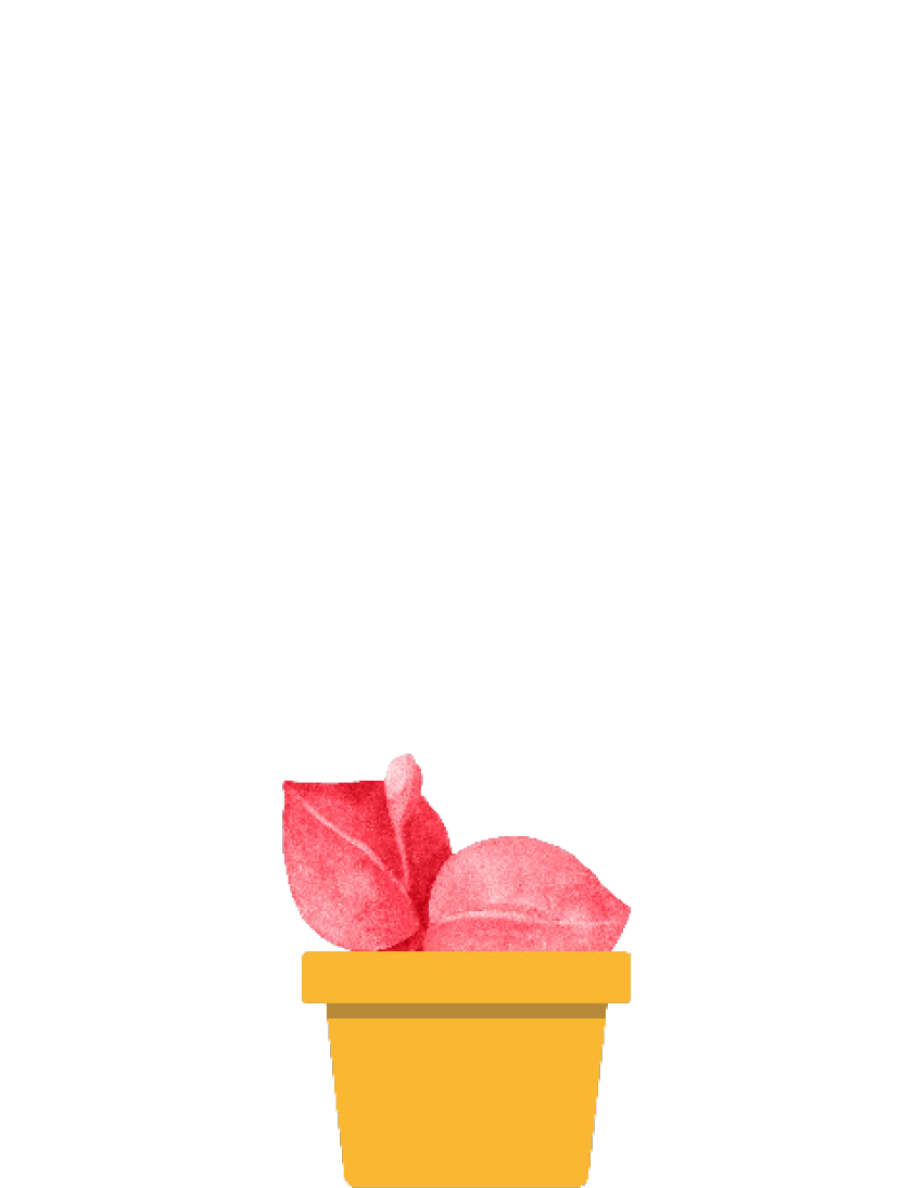 Flower 1