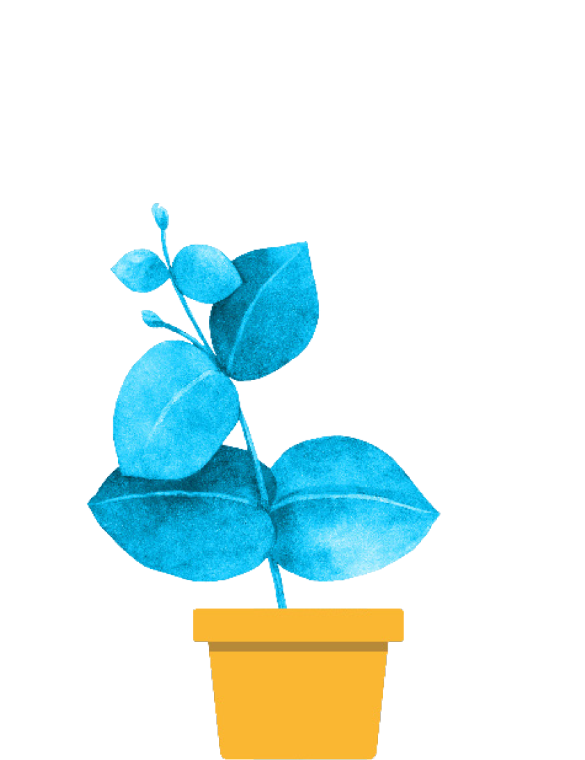 Flower 2