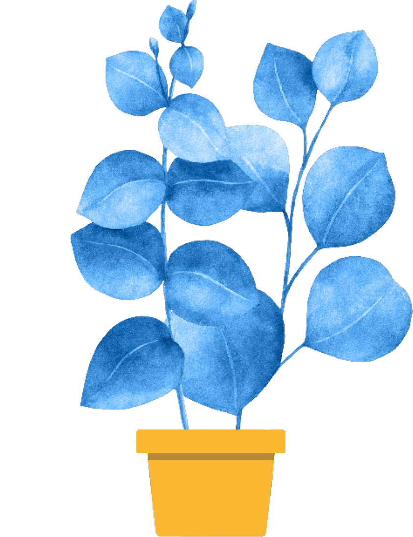 Flower 3