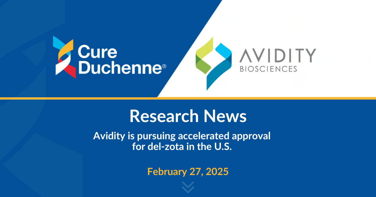 Avidity 2025