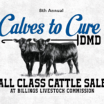 Calves to Cure